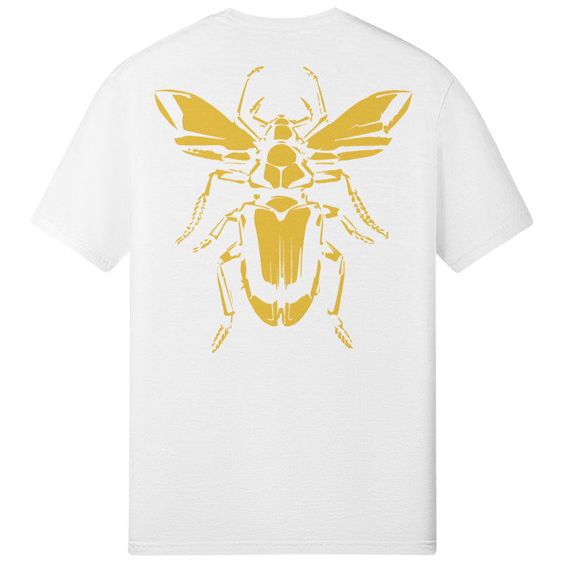 GOLD BEETLE